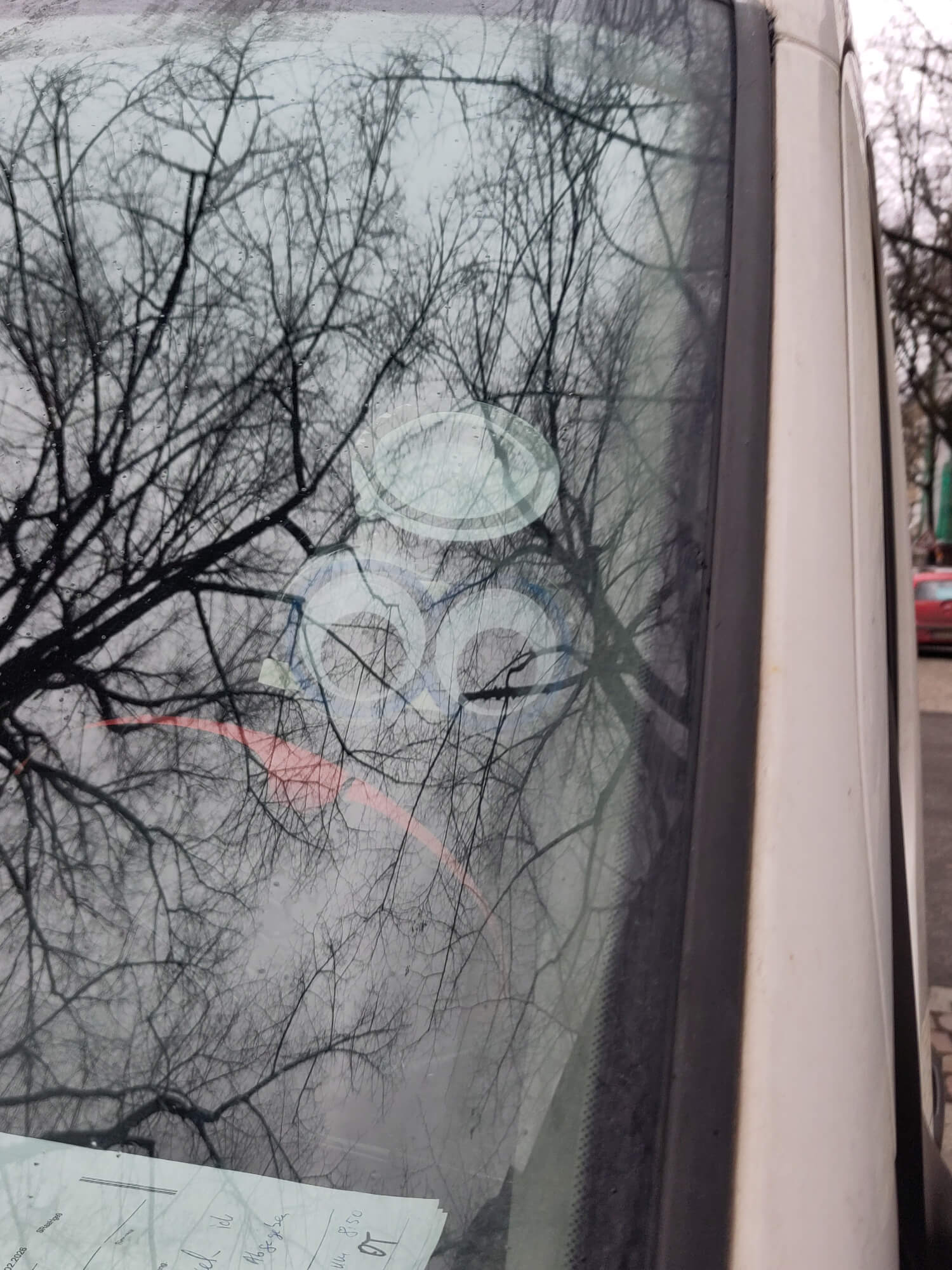 [ein Bild der Augen hinter der Windschutzscheibe, mit viel gespiegelten Baumästen davor]