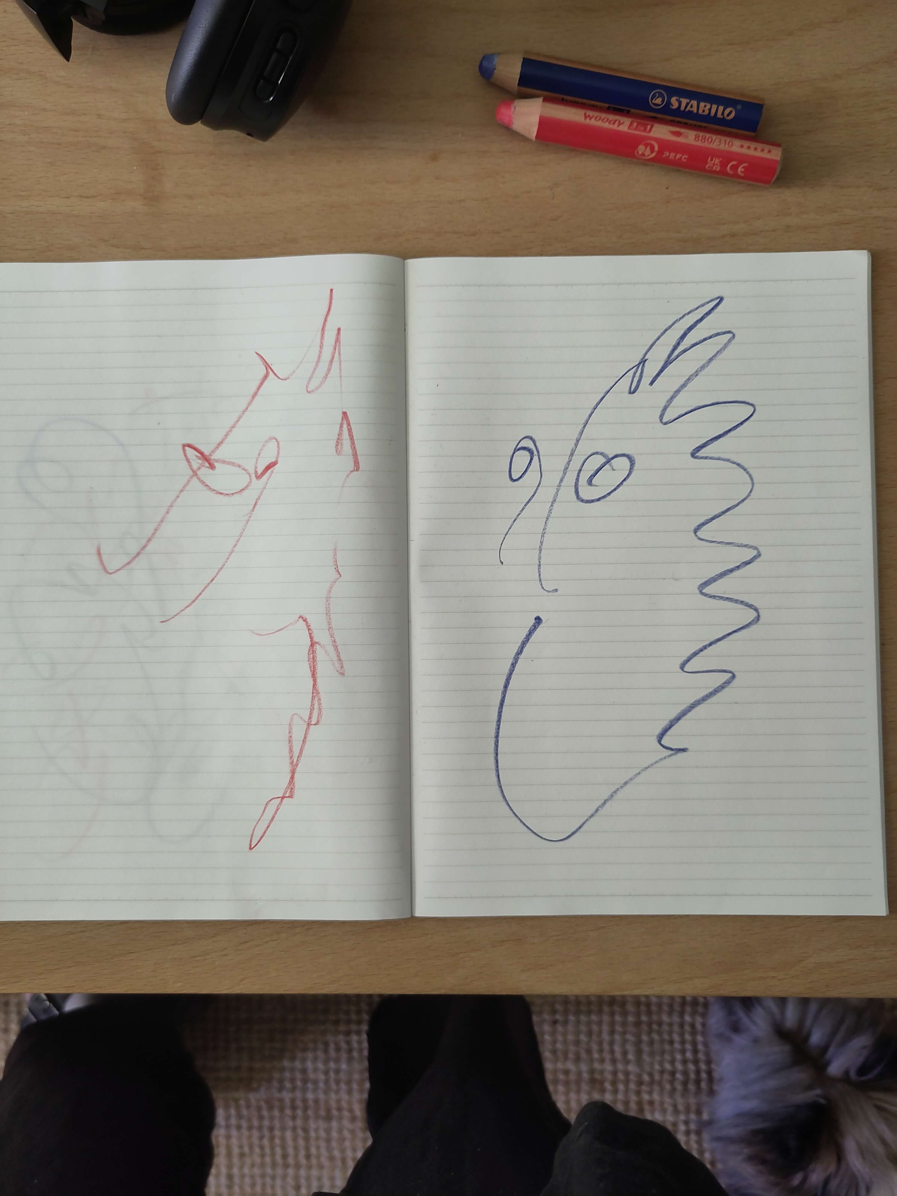 startseite-drachen.jpg